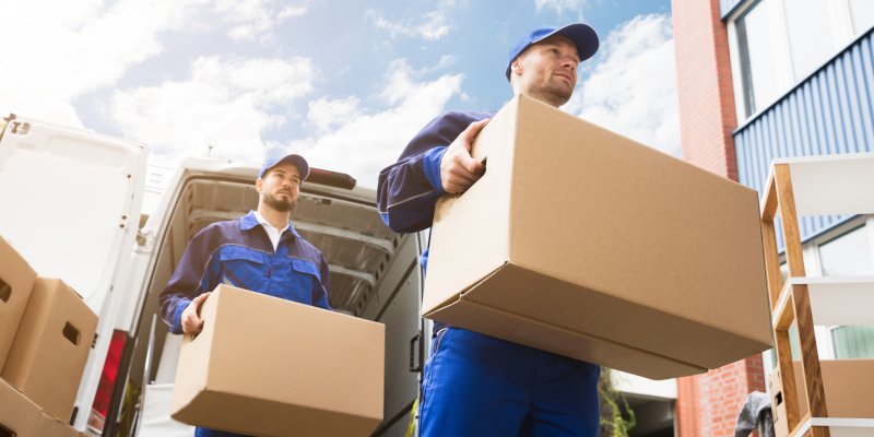 student removal company UK