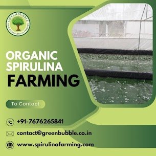 Organic-Spirulina-Farming