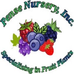 penseberry-logo