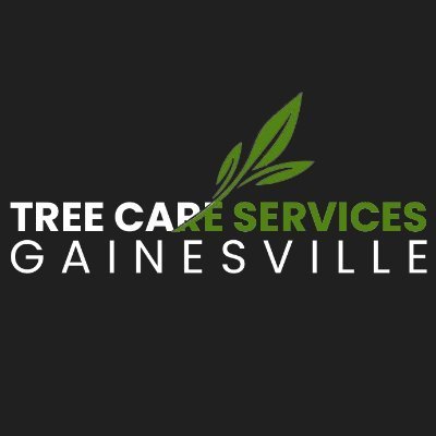 tree-care-service-gainesville-1