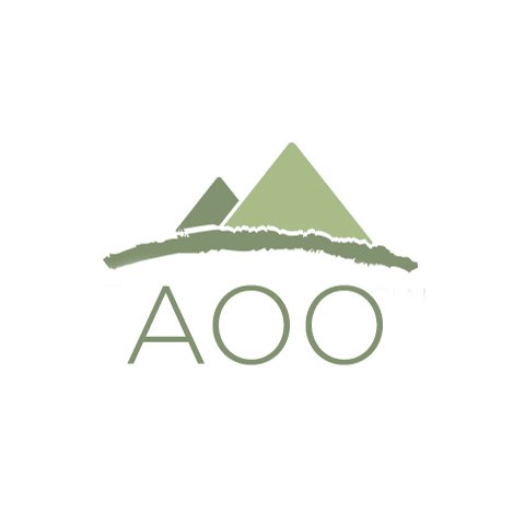 480-ao