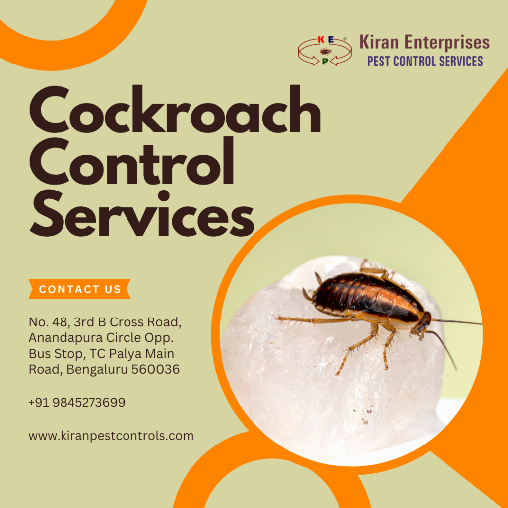 Cockroach-Control-Service24.02.2025