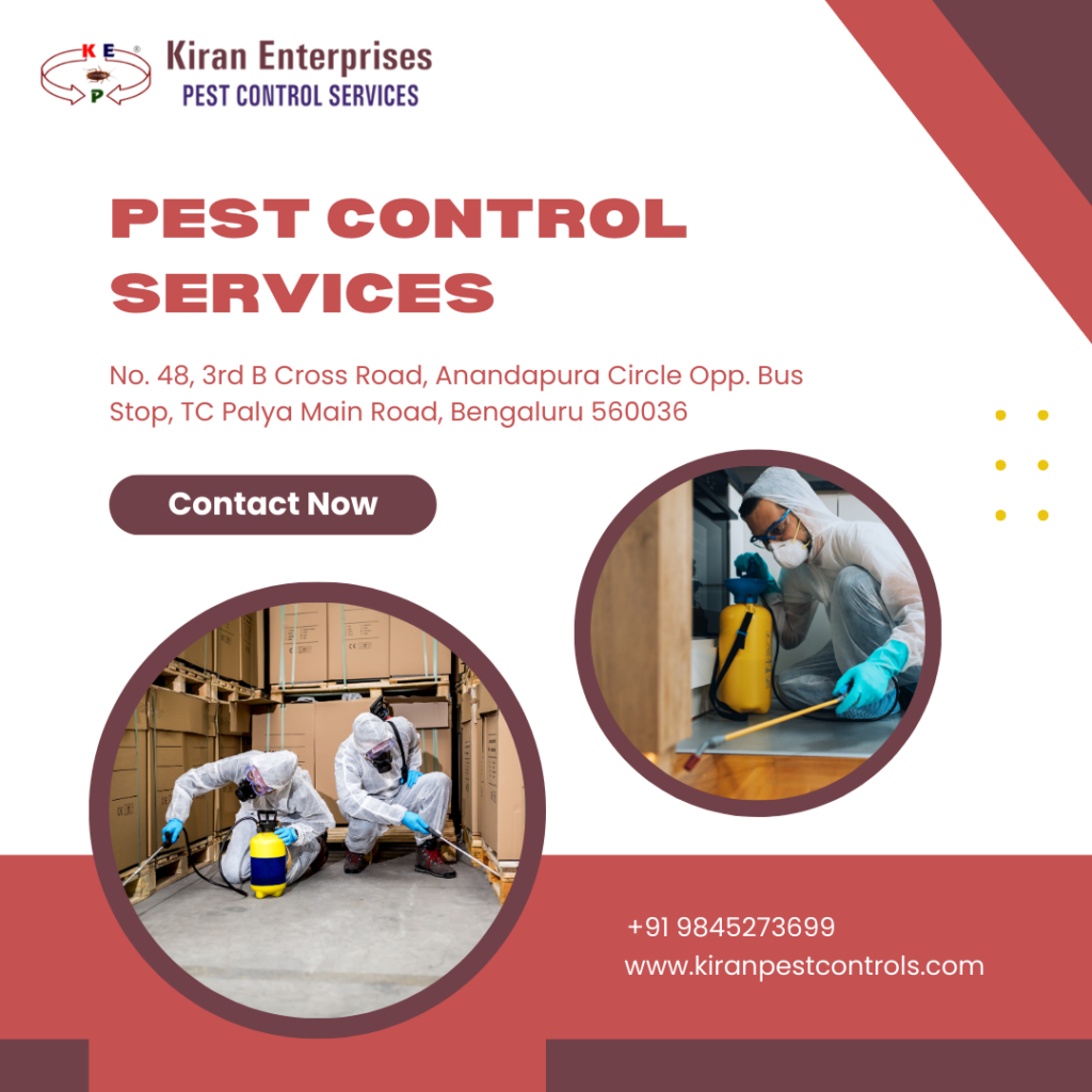 Pest-Control-Services