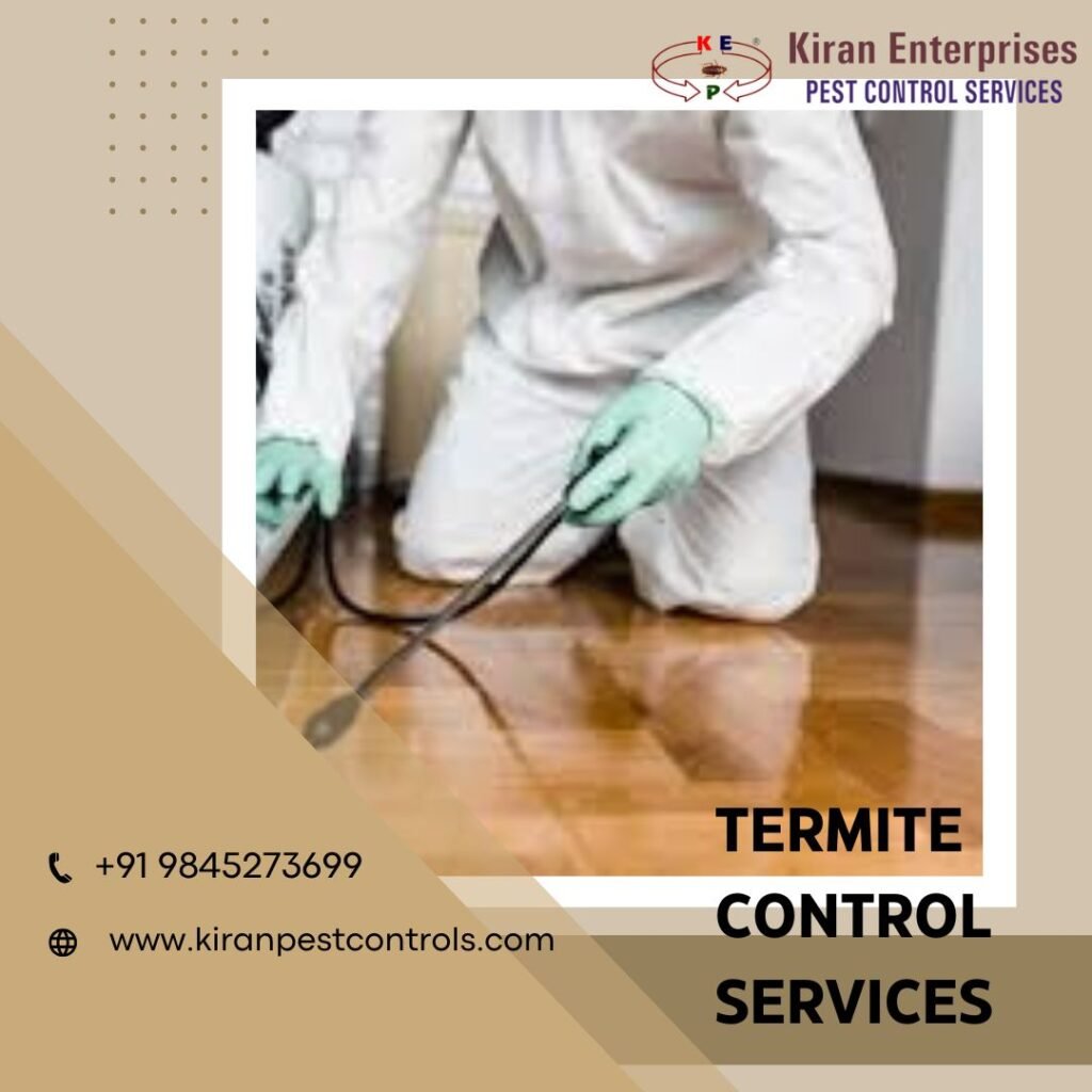 Termite-Control-Services