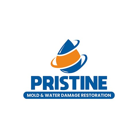 480-pristine
