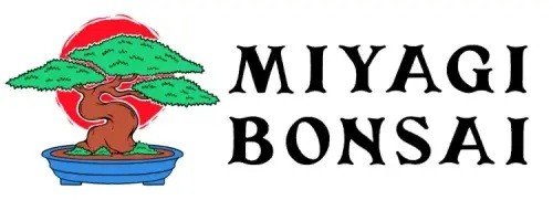 Miyagi-Bonsai-11111