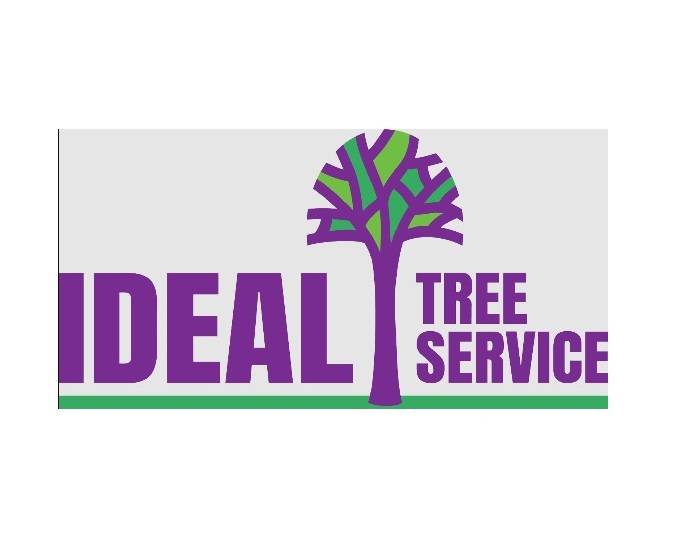Ideal Tree Service 15 Ideal Tree Service