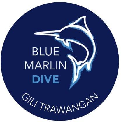 Businesses 60 The PADI IDC Gili Trawangan – Gili Islands – Indonesia