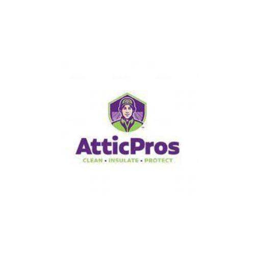 Attic Pros