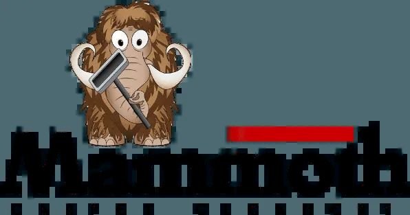 Mammoth Cleaners Inc