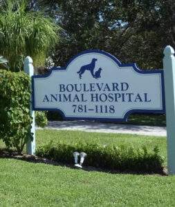 Boulevard Animal Hospital 4 Boulevard Animal Hospital