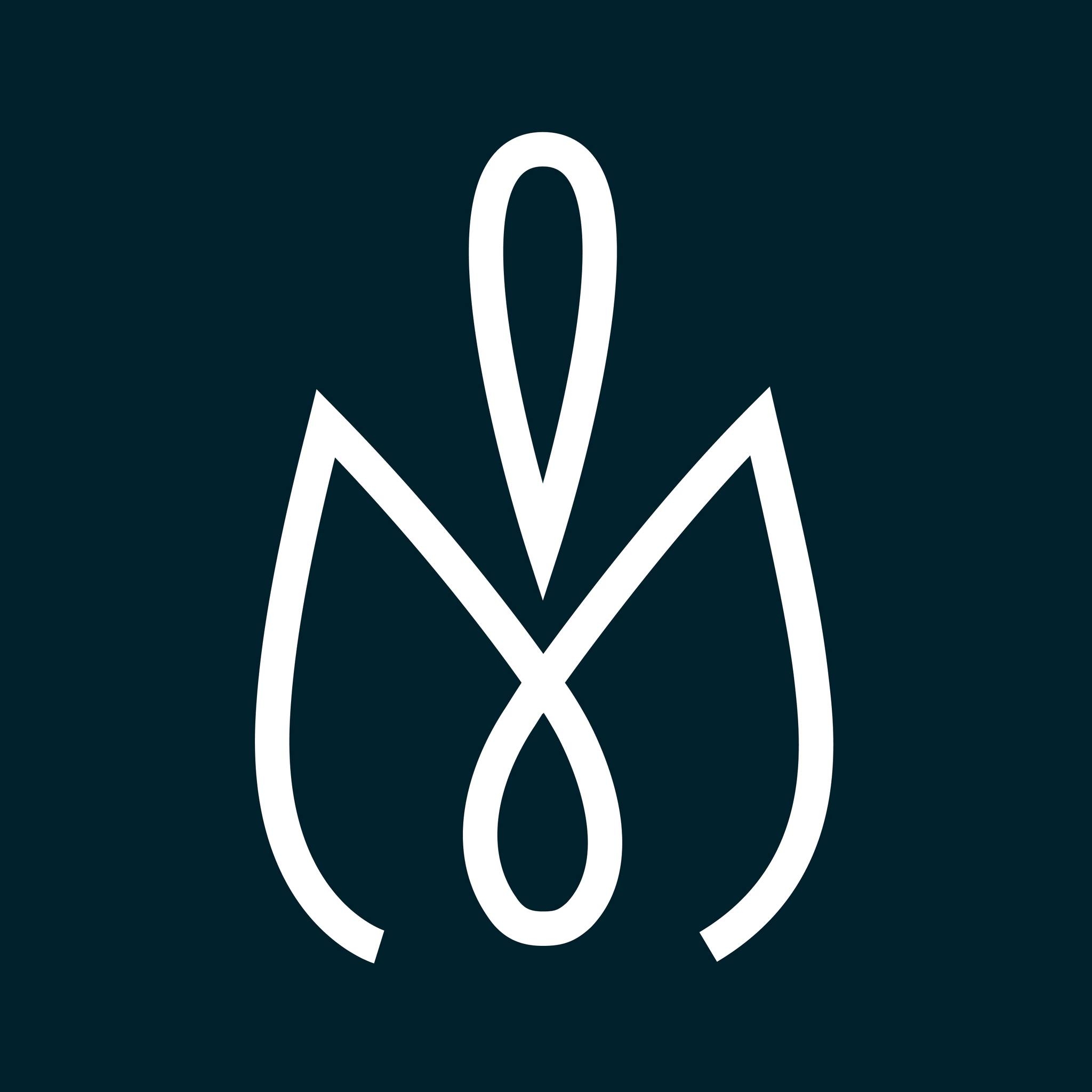 Pure Plastic Surgery