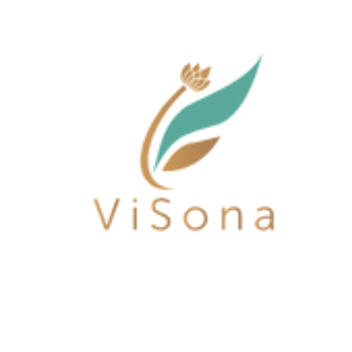 Businesses 32 ViSona LLC